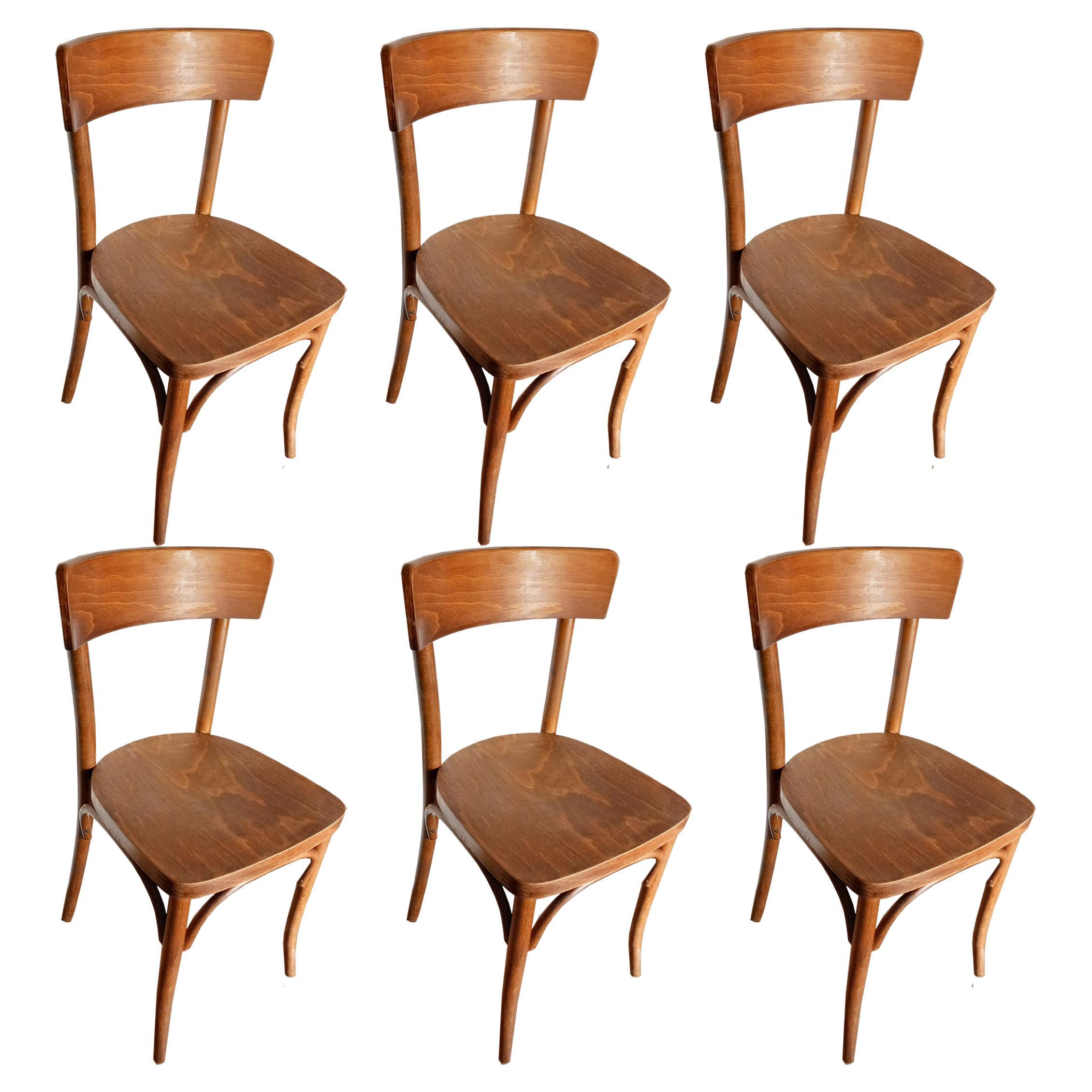 August Thonet Chairs, Set of 6, Czech Republic, 50s Signed Thonet For Sale