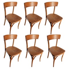 August Thonet Chairs, Set of 6, Czech Republic, 50s Signed Thonet