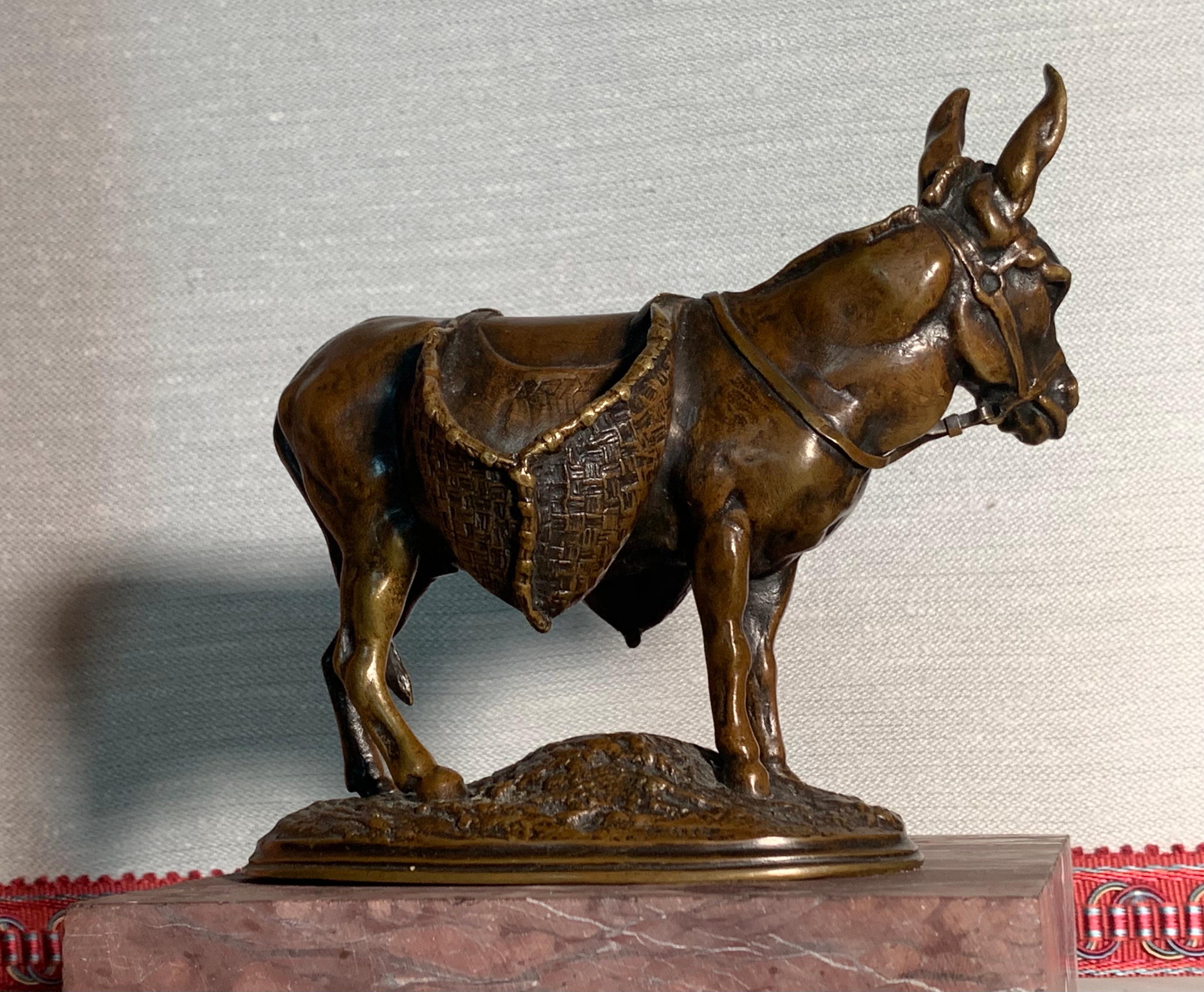 Ane d'Afrique Afrikanischer Esel Bronze von Auguste Cain, Gießerei Susse  im Angebot 1