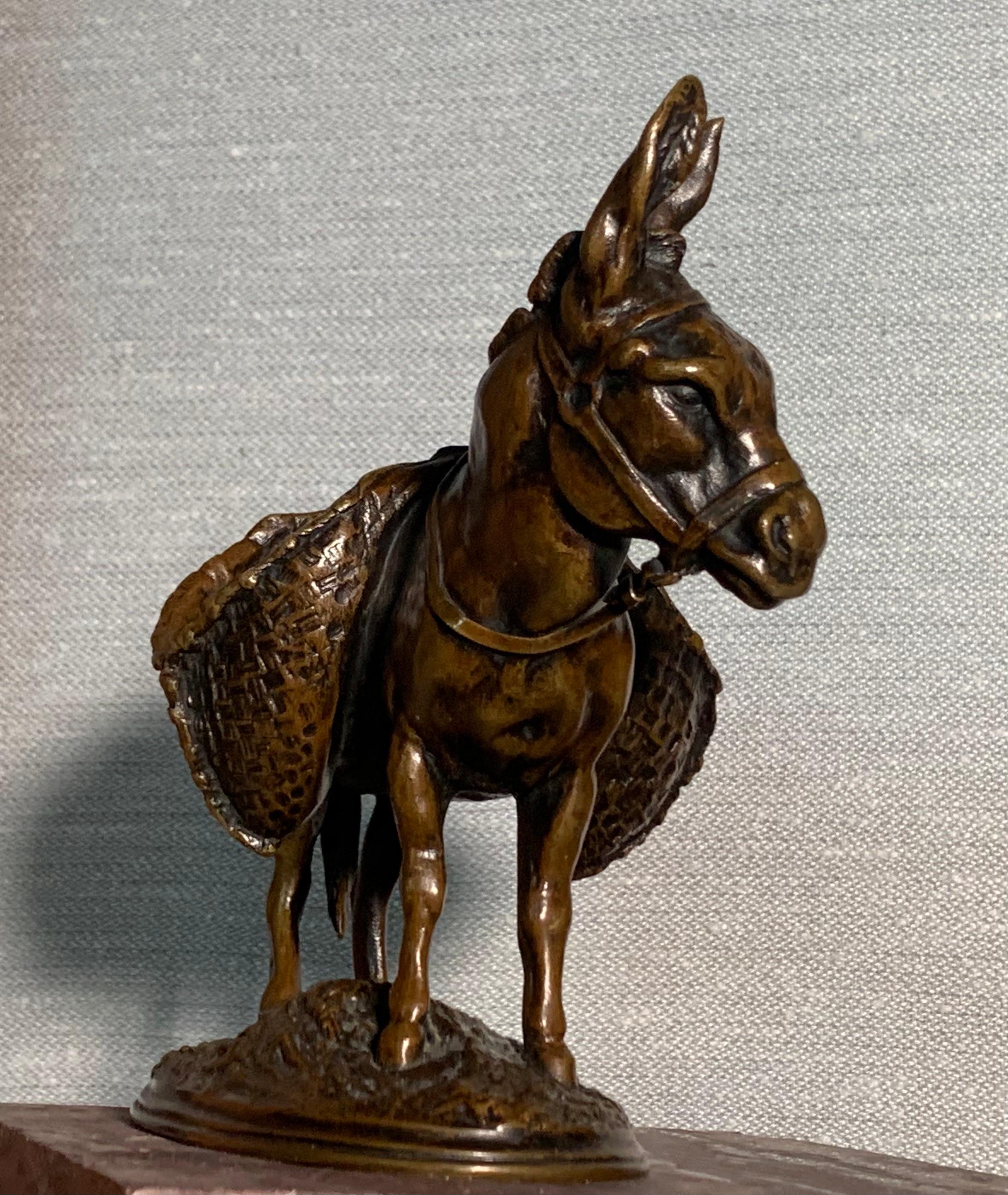 Ane d'Afrique Afrikanischer Esel Bronze von Auguste Cain, Gießerei Susse  im Angebot 3