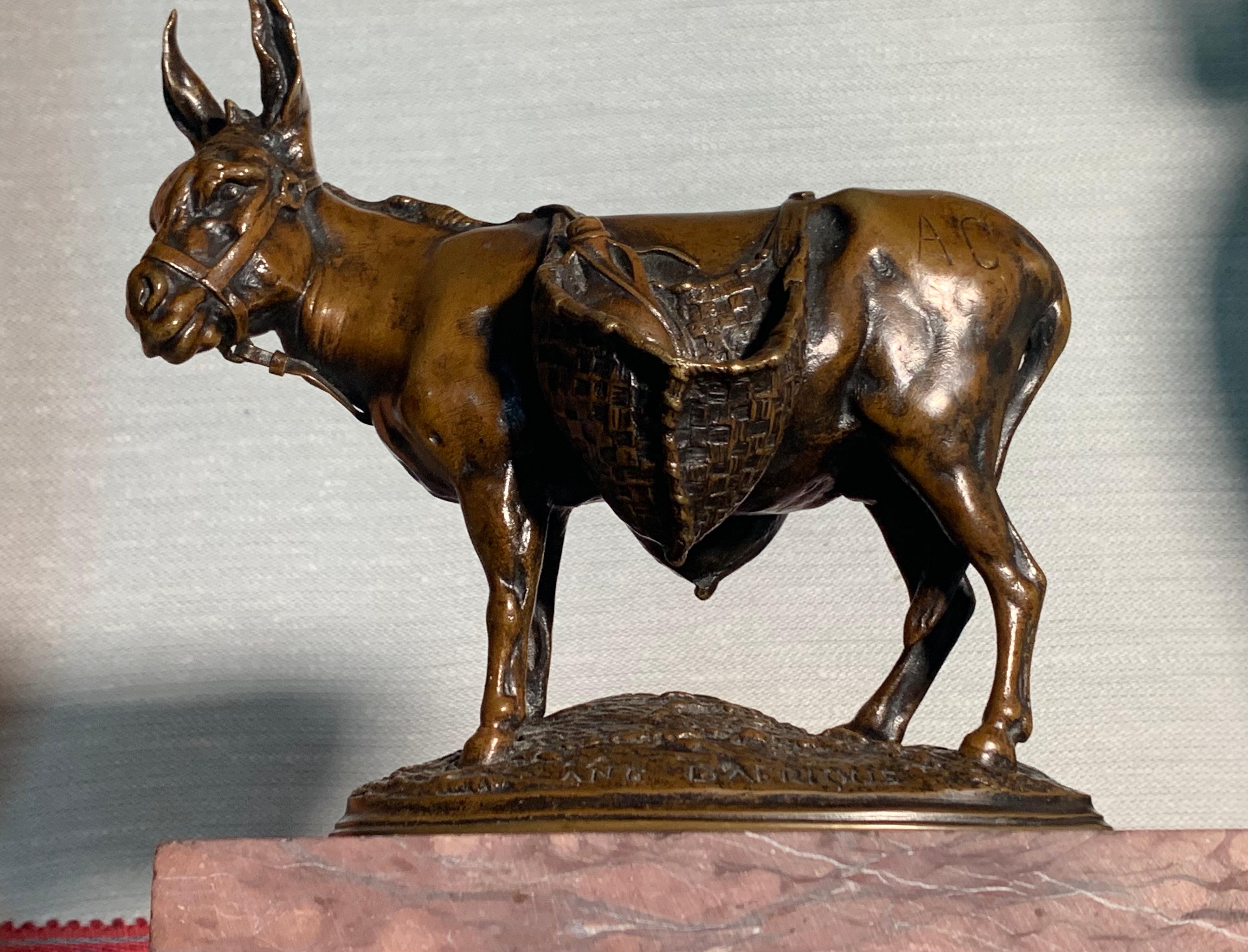 Charming little bronze by the great animal sculptor Auguste-Nicolas Cain, signed A.Cain on the side, inscribed Ane d’Afrique (Donkey from Africa)  and Susse Fres  on the terrace. The donkey is represented loaded with its woven baskets in a vivid