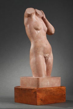 Torso of a woman