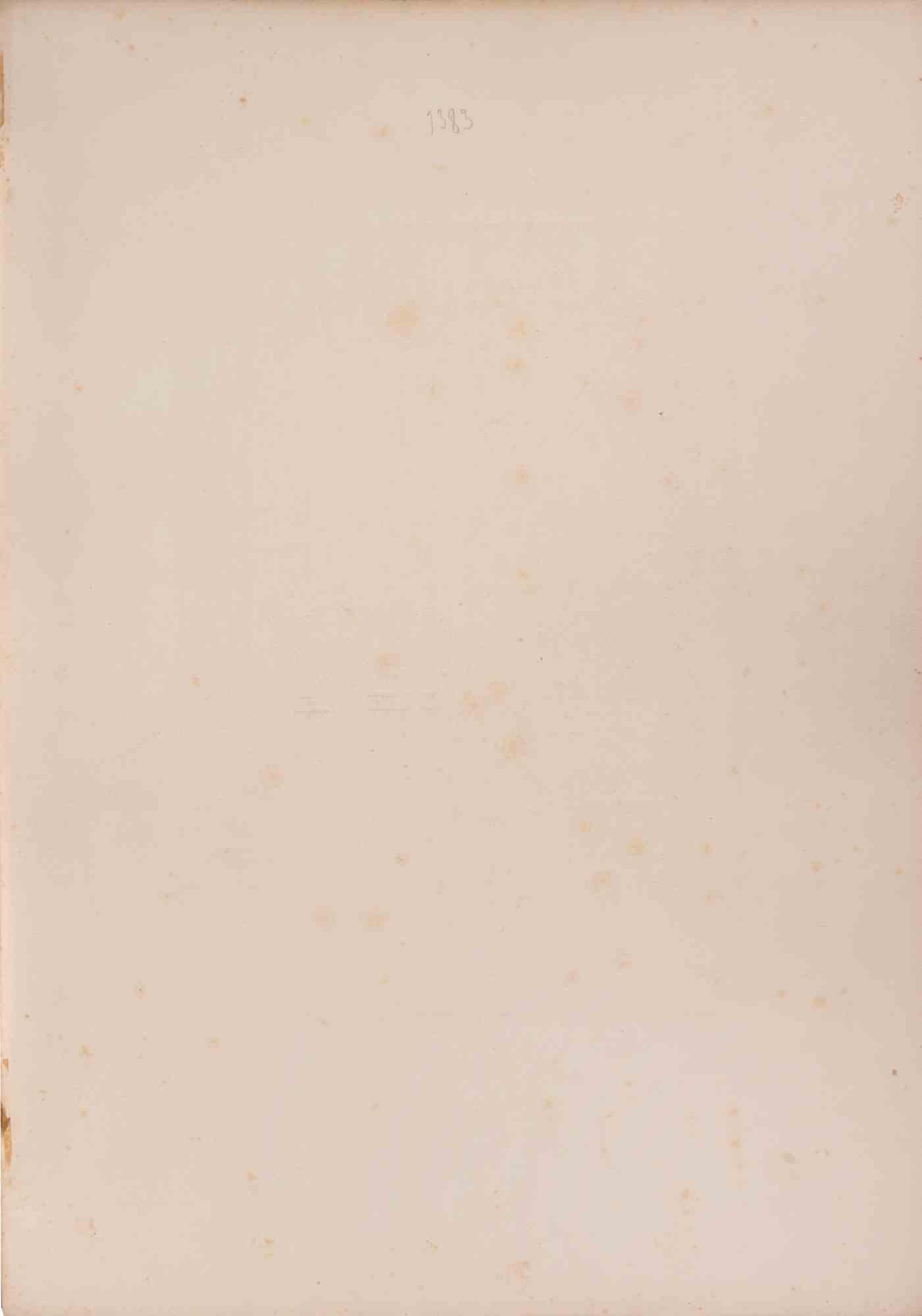 Guerriers Tcherkesses et Cosaques de l’Elbourz-Lithograph by Auguste Raffet-1842 For Sale 1