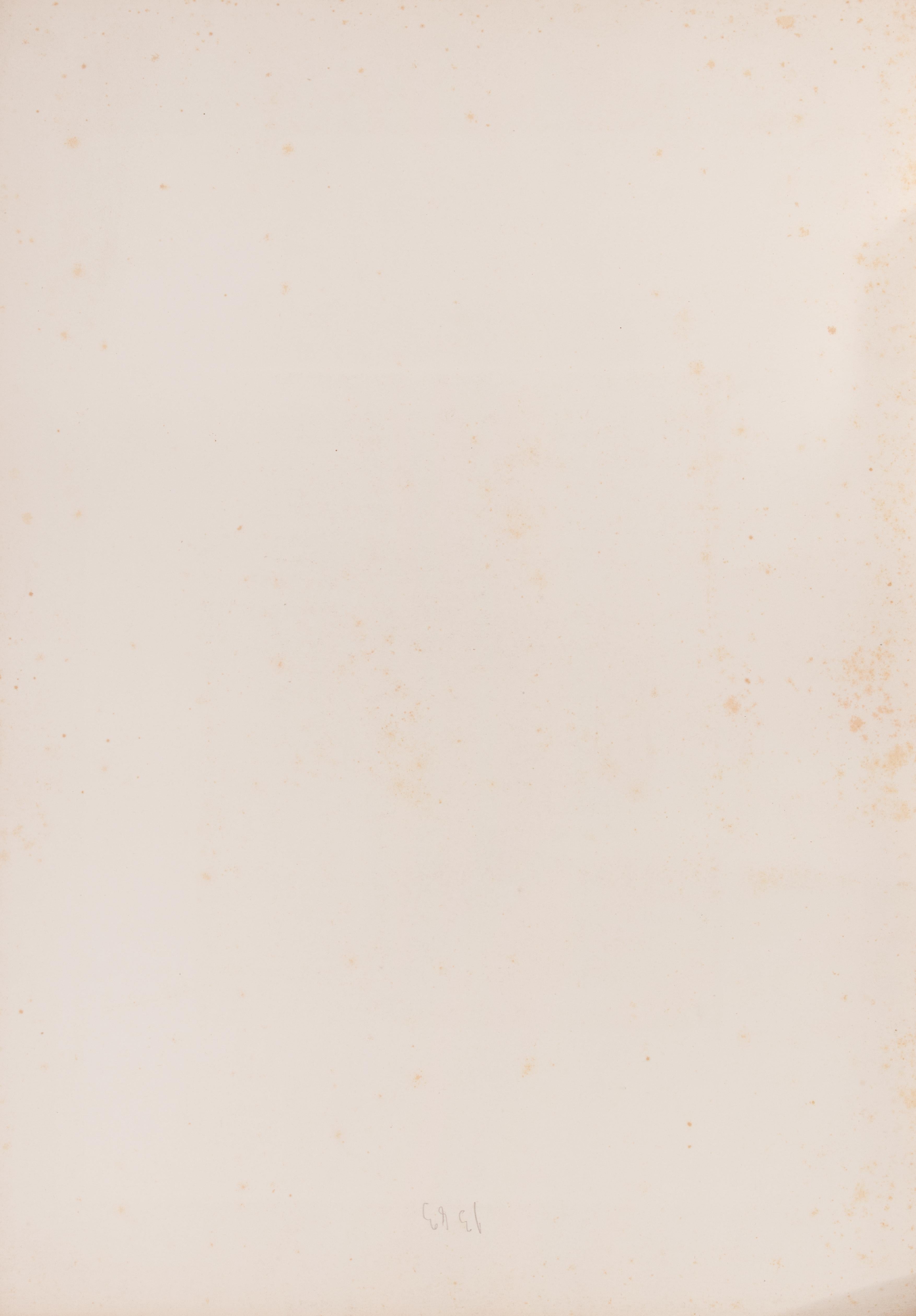 Hongrie-Donau 1837. Oryellous - Lithographie von Auguste Raffet - 1838 im Angebot 1