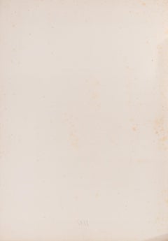 Hongrie–Danube 1837. Oryellous - Lithograph by Auguste Raffet - 1838