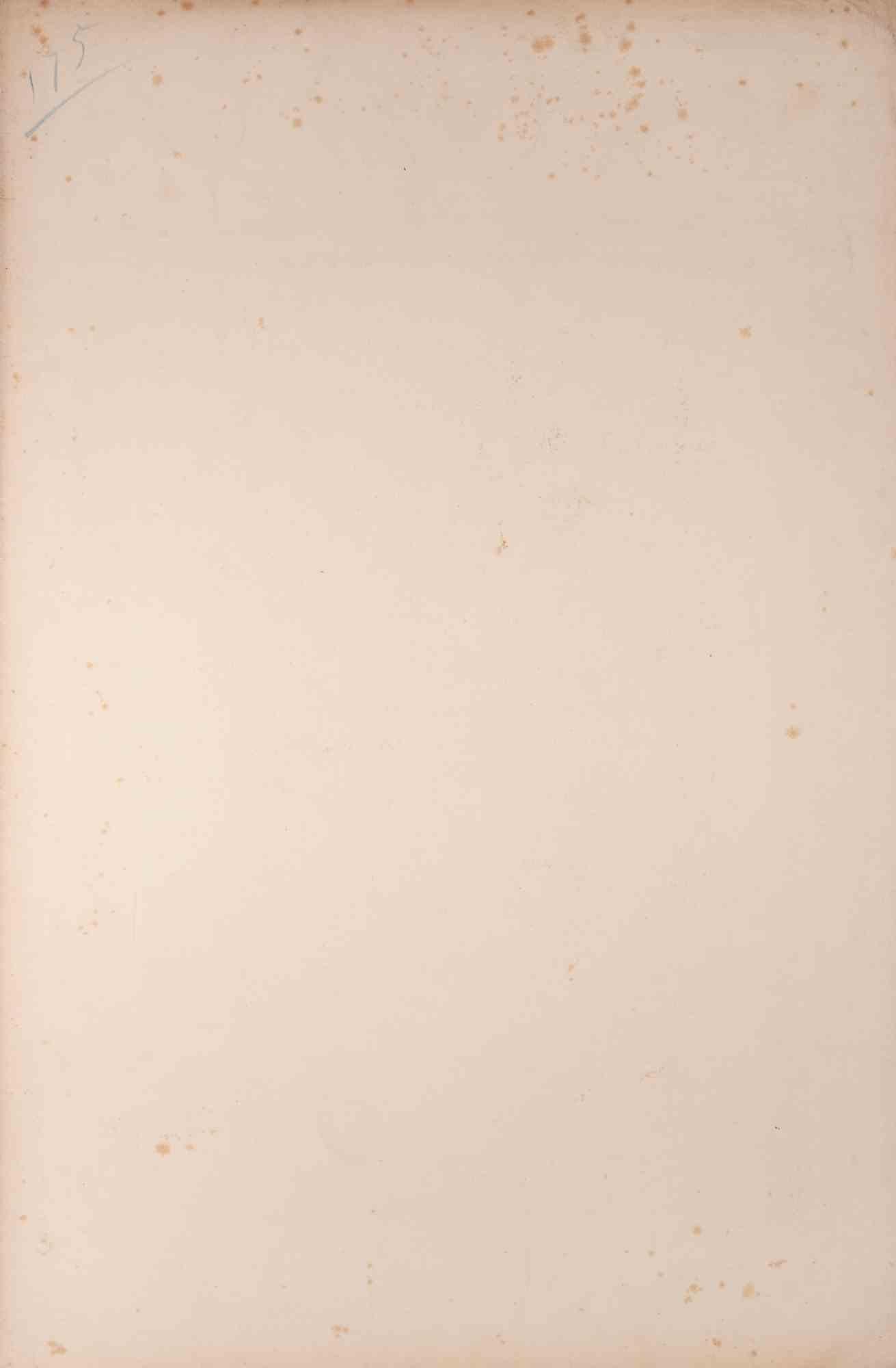 Recruteurs Turcs (Bashi-bazouks) - Lithograph by Auguste Raffet - 1857 For Sale 1