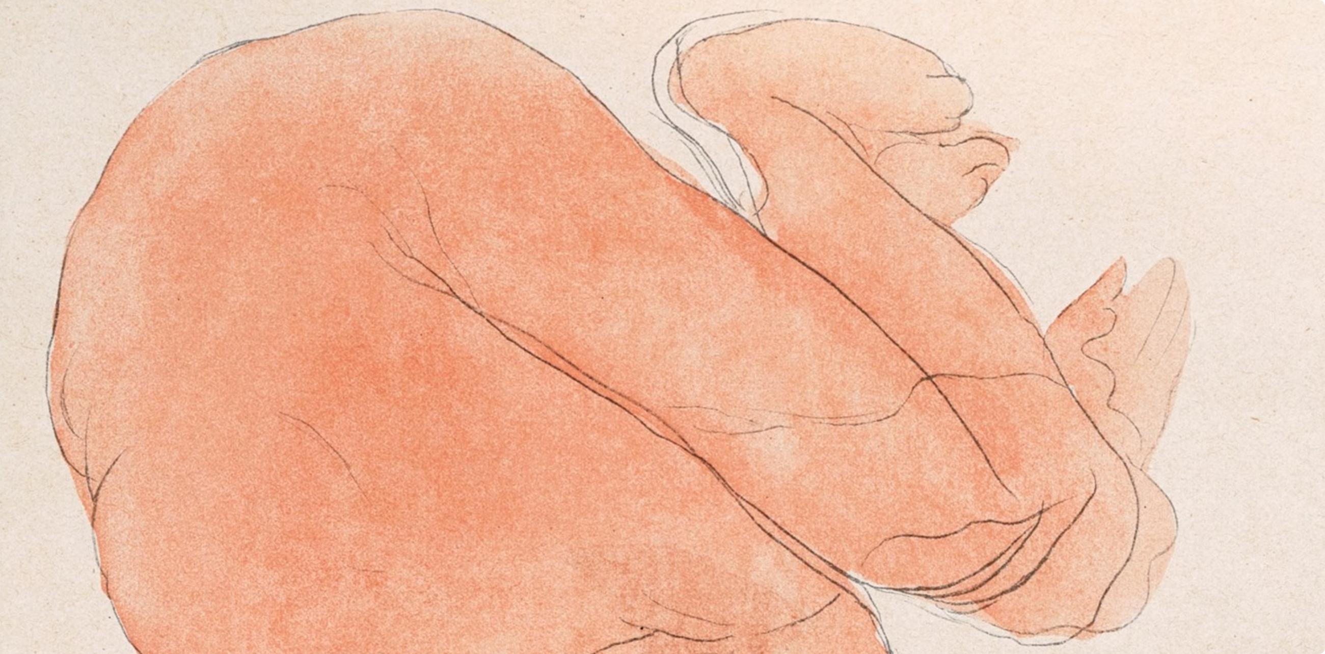 Rodin, Composición, Douze aquarelles de Auguste Rodin (after) en venta 2