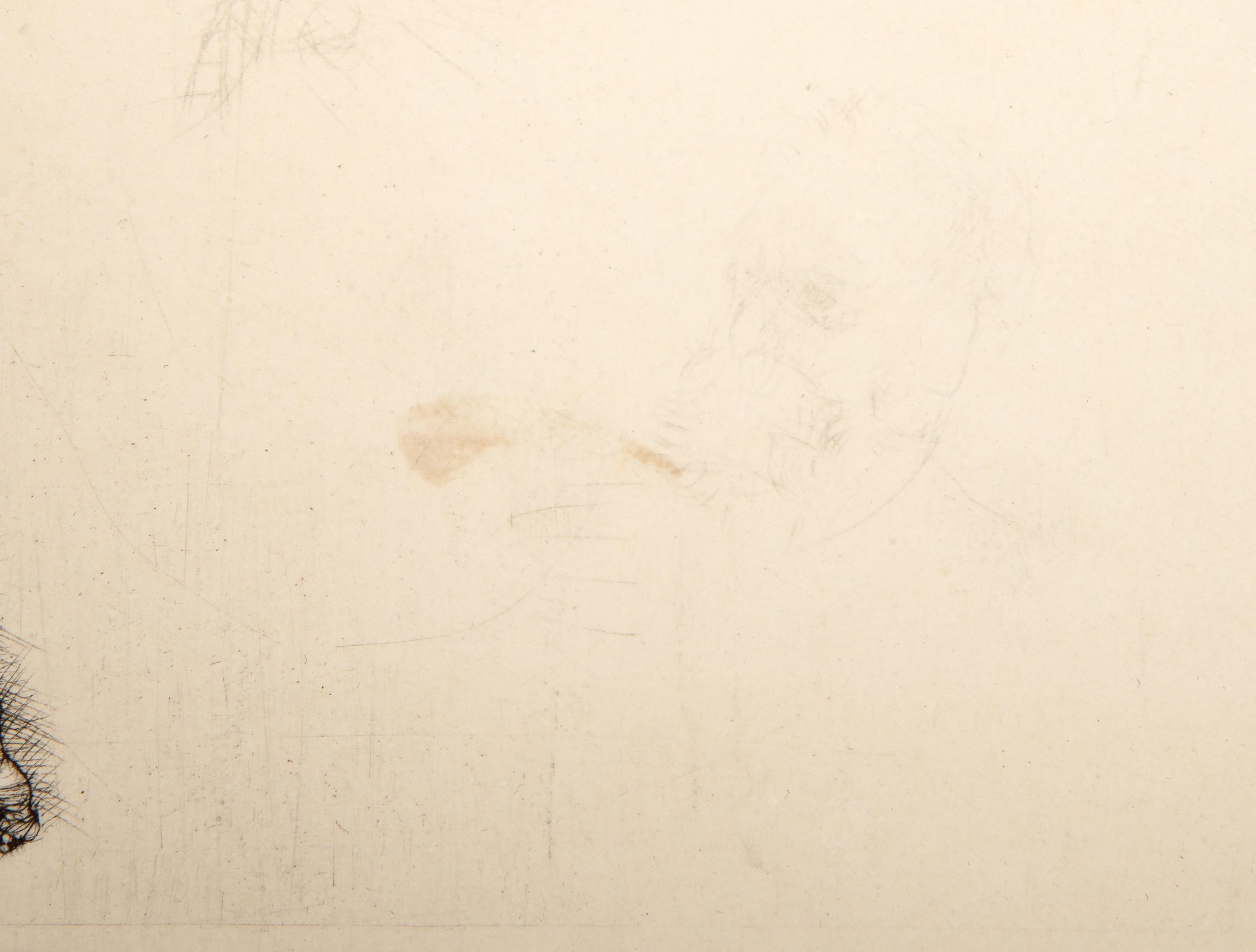 Victor Hugo, de Face State Nine, Impressionist Etching by Auguste Rodin For Sale 3
