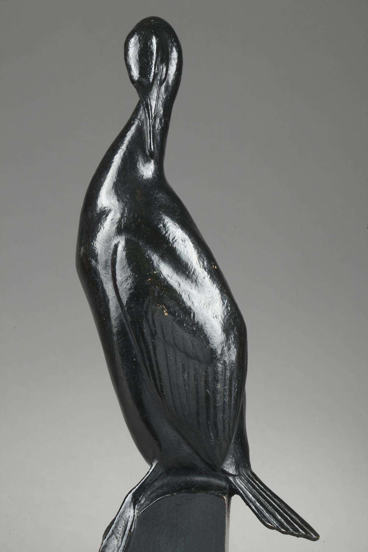 Cormorant For Sale 1