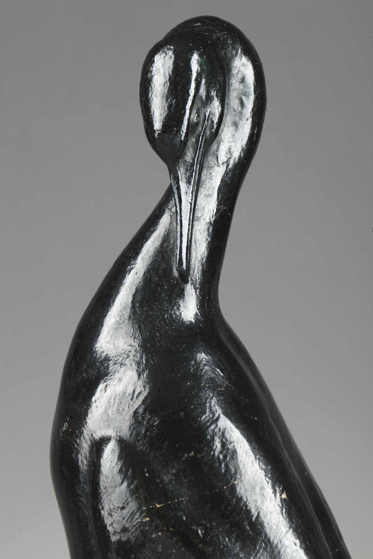 Cormorant For Sale 2
