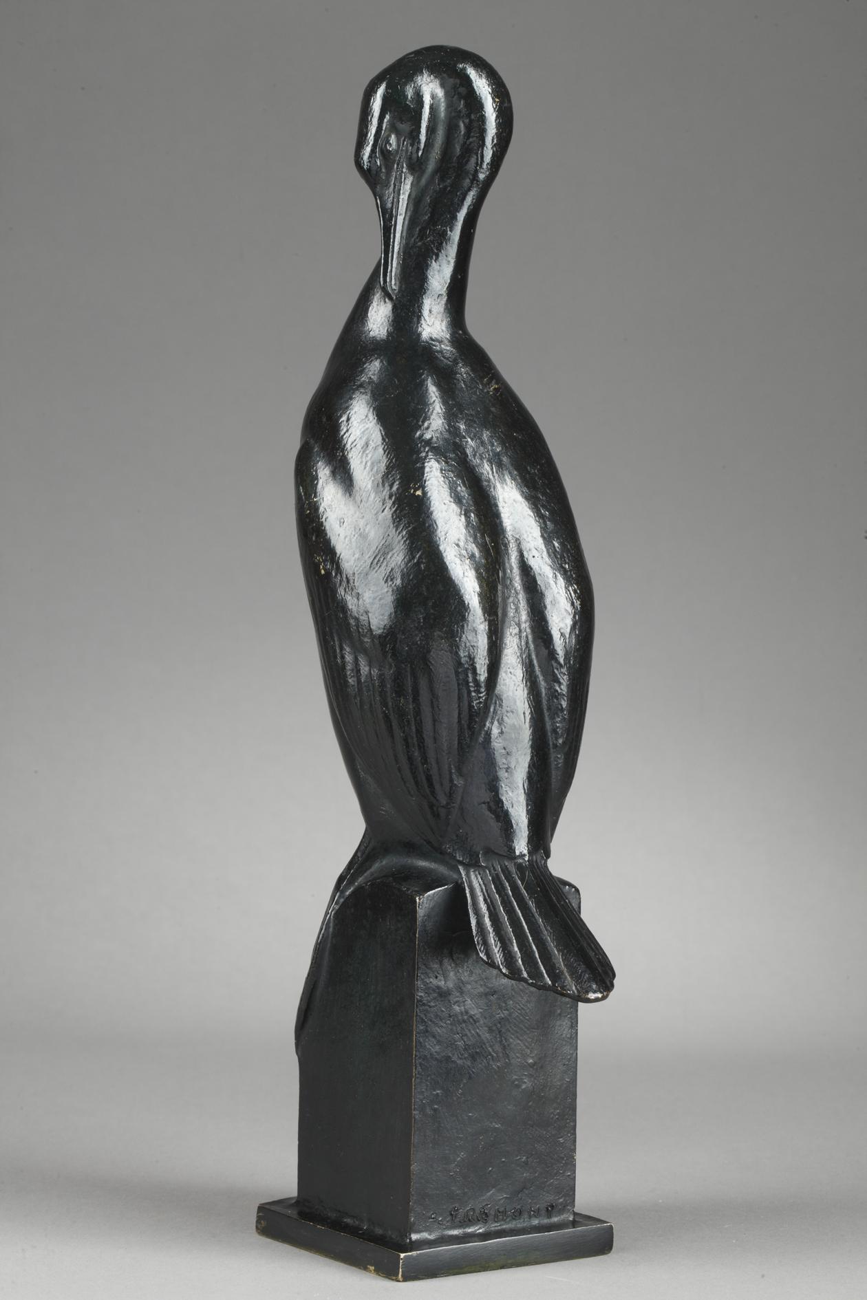 Cormorant For Sale 3