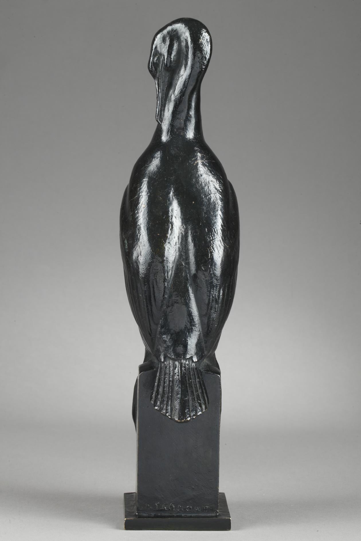 Cormorant For Sale 4