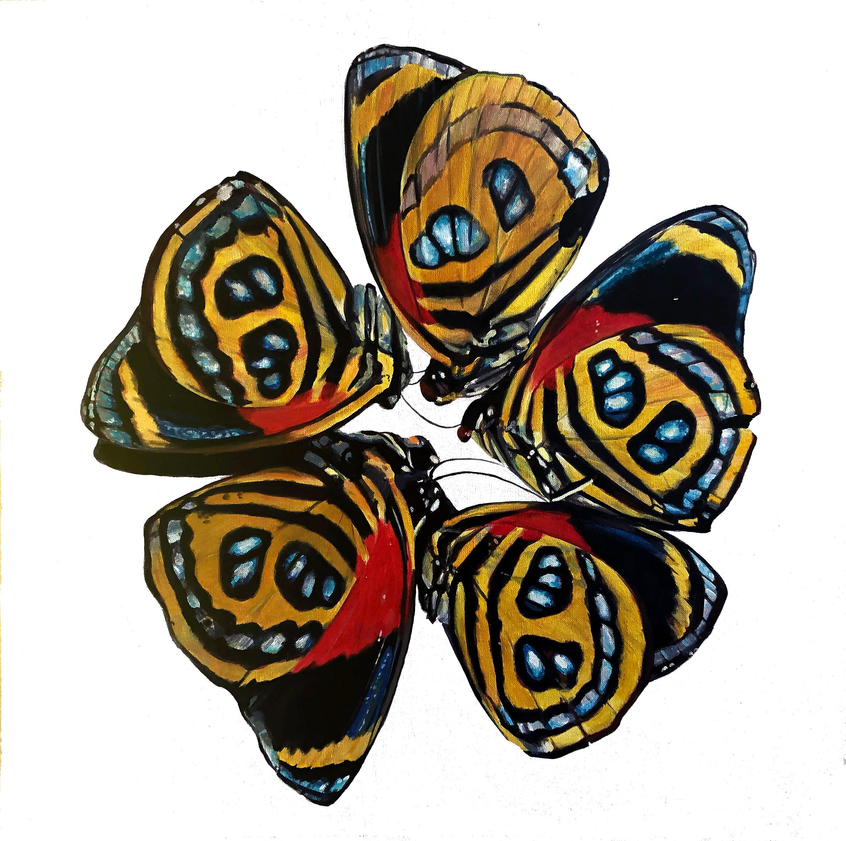 Augustina Droze Still-Life Painting - Contemporary Photorealist Oil Painting Moths Female Artist Red Yellow Blue 