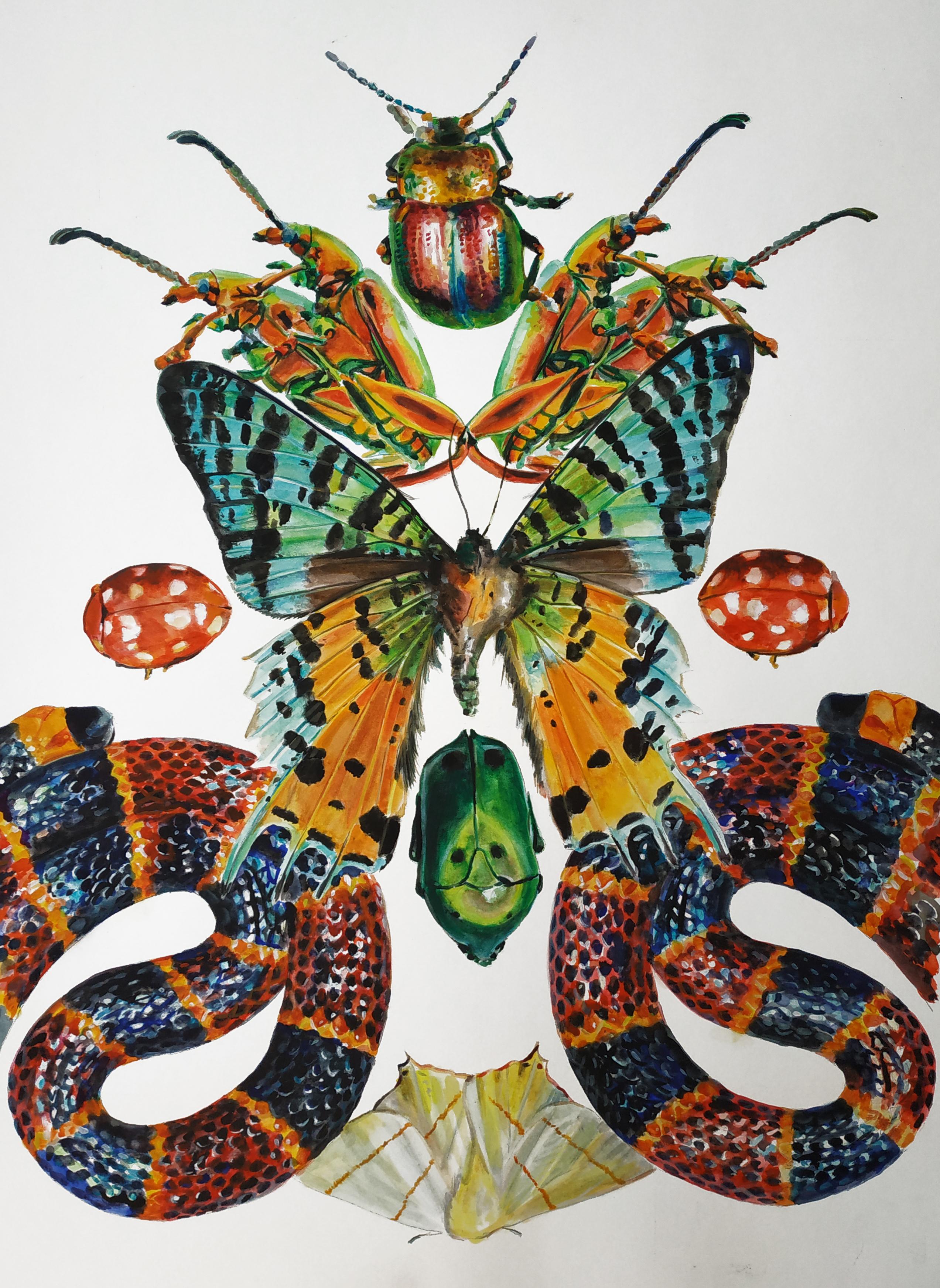 snake and butterfly drawing