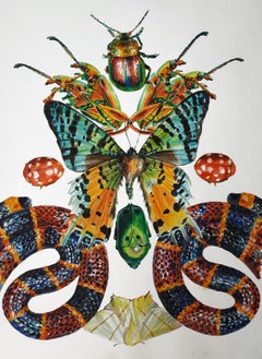 Contemporary Photorealist Painting Snake Butterfly Animal Colorful Beetles frame