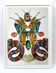 Contemporary Photorealist Painting Snake Butterfly Animal Colorful Beetles frame