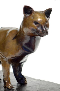 Gatto Augusto Perez Scultura in bronzo