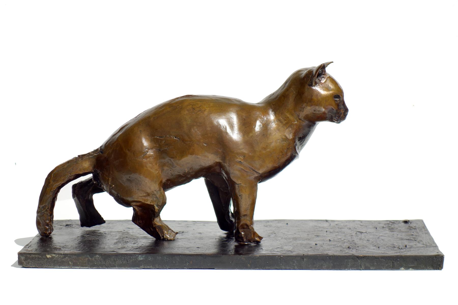 Modern Augusto Perez Cat Bronze Sculpture For Sale