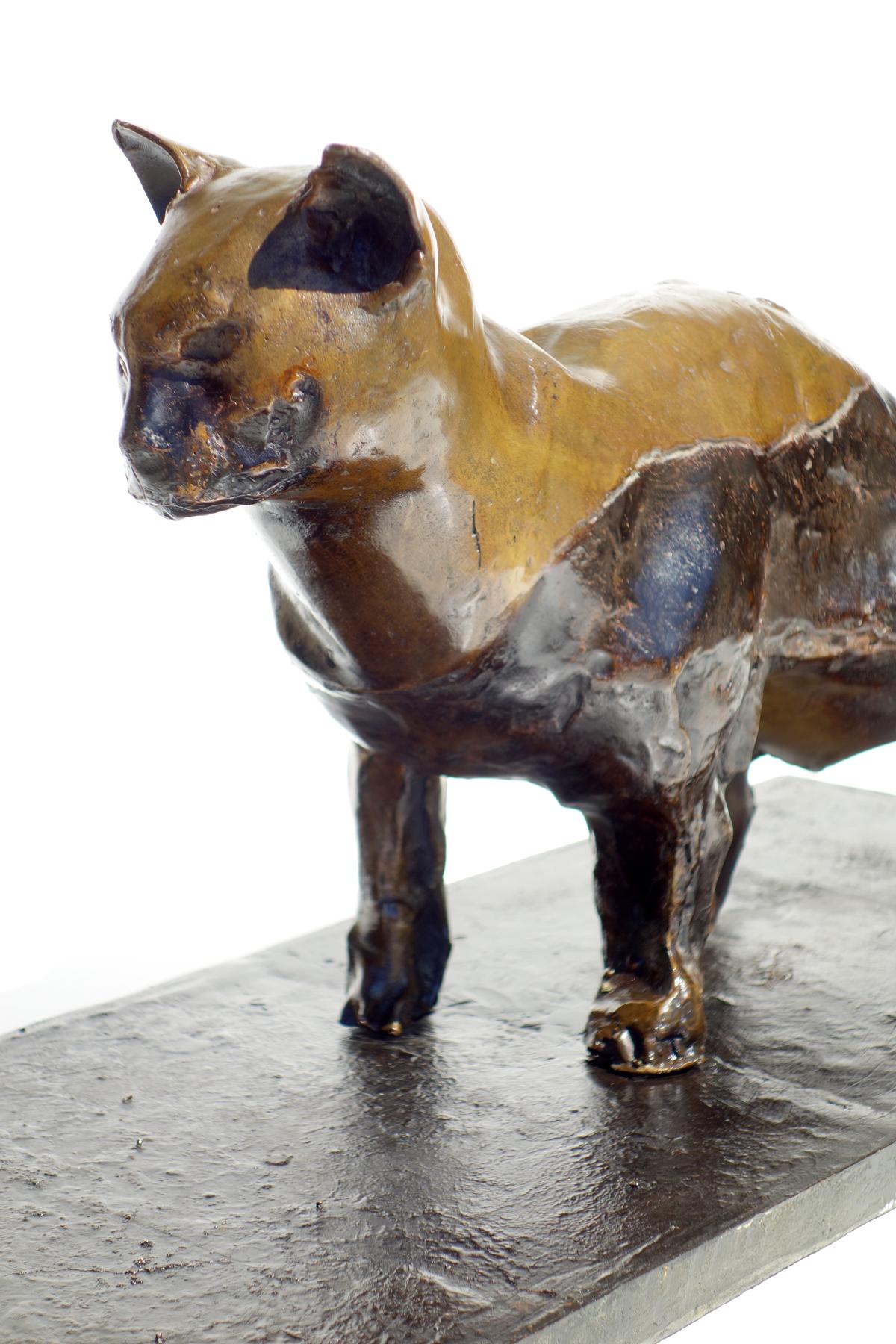 Bronze Sculpture de chat en bronze Augusto Perez en vente