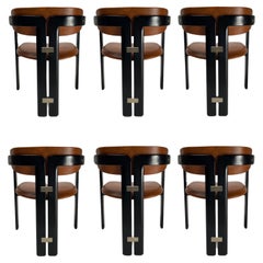 Used Augusto Savini Pamplona Chairs Set of 6 Pozzi Italy, 1965