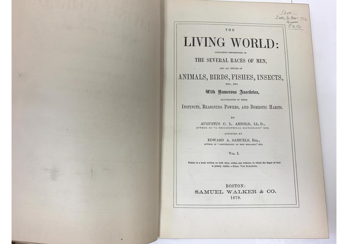 Augustus C.L. Arnold And Edward A. Samuels, The Living World..., 2 Vols., 1870 For Sale 5