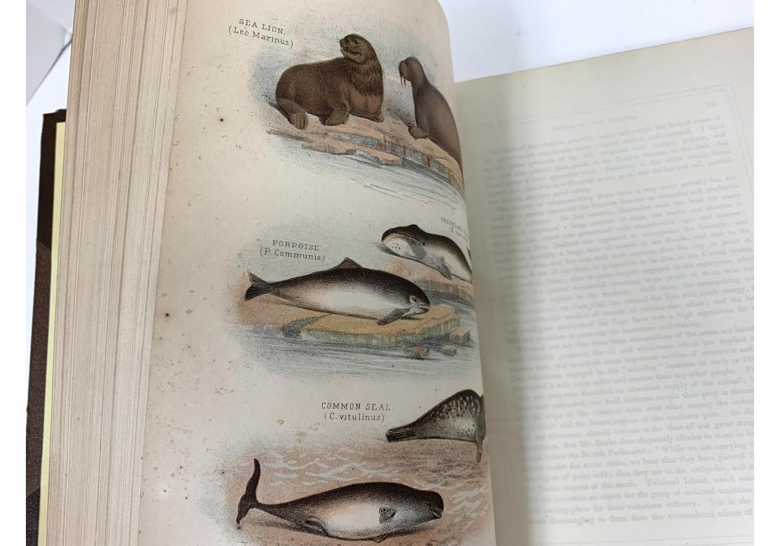 Augustus C.L. Arnold And Edward A. Samuels, The Living World..., 2 Vols., 1870 For Sale 7