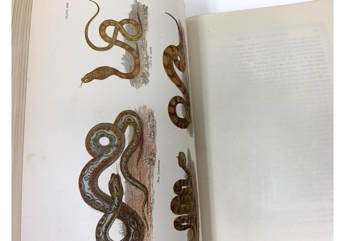Augustus C.L. Arnold And Edward A. Samuels, The Living World..., 2 Vols., 1870 For Sale 9