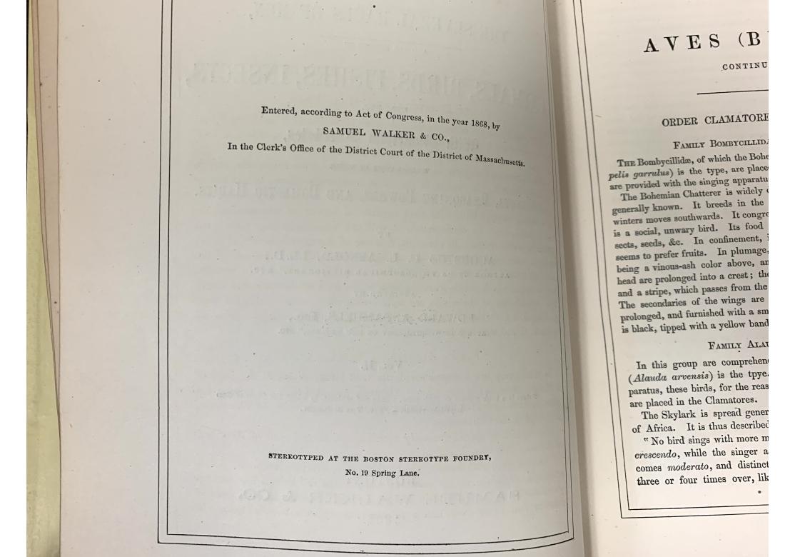 Augustus C.L. Arnold And Edward A. Samuels, The Living World..., 2 Vols., 1870 For Sale 11