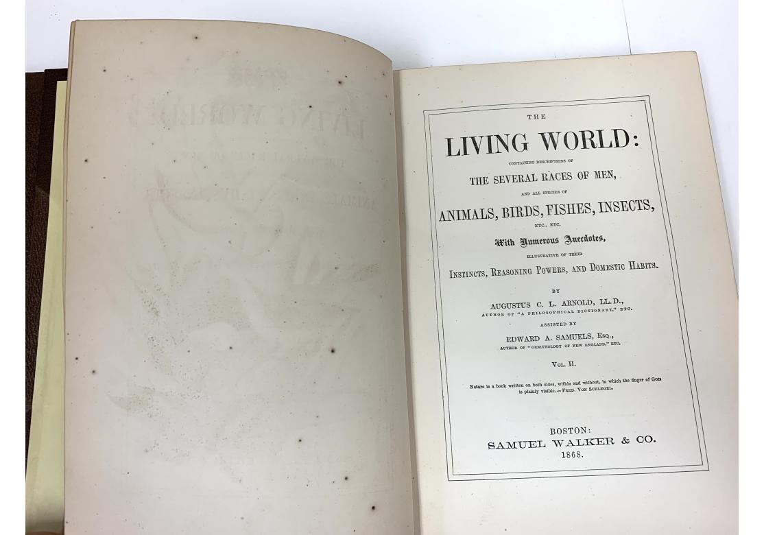 Augustus C.L. Arnold And Edward A. Samuels, The Living World..., 2 Vols., 1870 For Sale 12