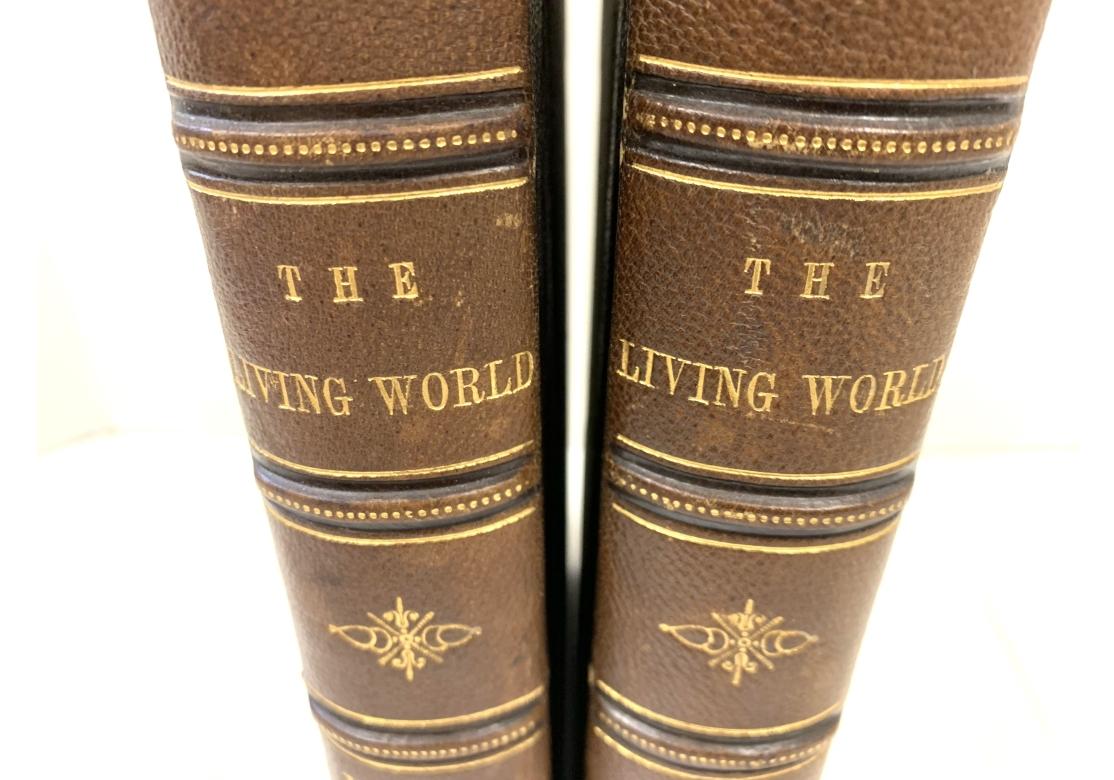 American Augustus C.L. Arnold And Edward A. Samuels, The Living World..., 2 Vols., 1870 For Sale
