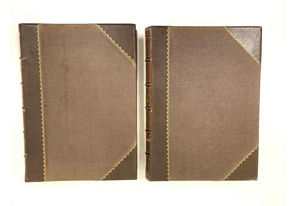 Augustus C.L. Arnold And Edward A. Samuels, The Living World..., 2 Vols., 1870 In Fair Condition For Sale In Bridgeport, CT