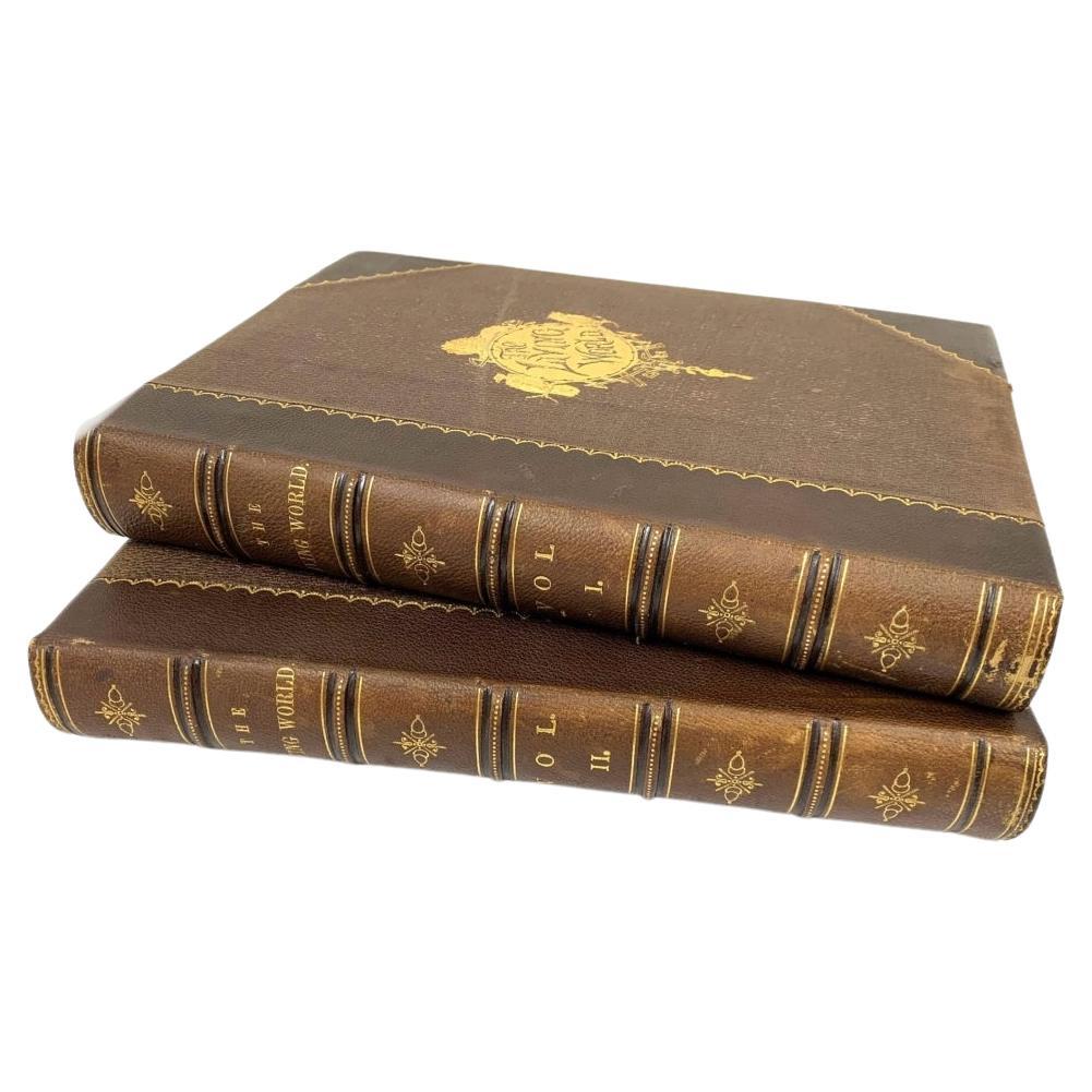 Augustus C.L. Arnold And Edward A. Samuels, The Living World..., 2 Vols., 1870 For Sale