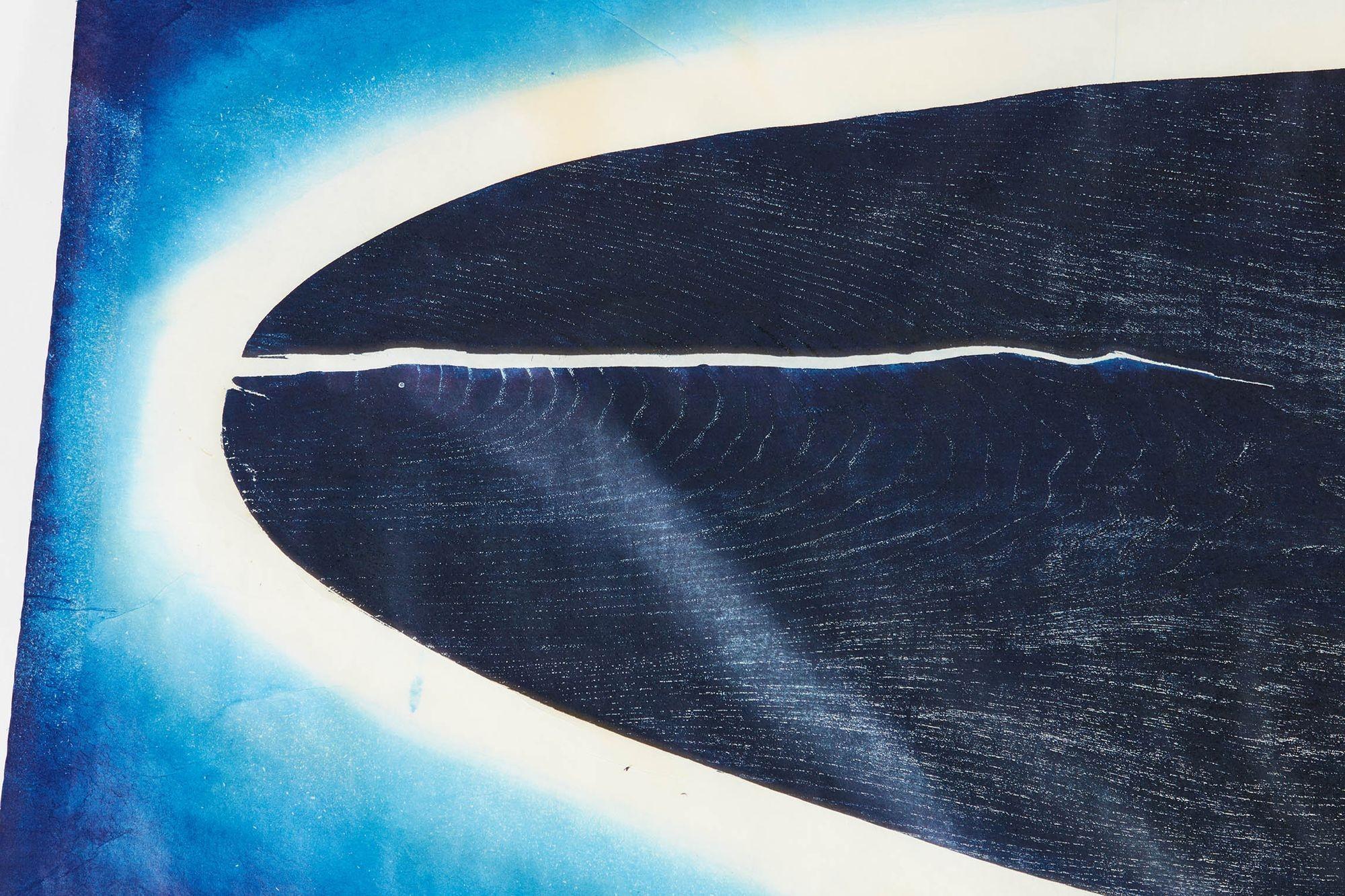 Aura Cetacean, a woodblock by British artist Julian Meredith. Meredith is noted for his beautiful depictions of whales and fish and his works are held in a number of British museums. He has also made huge artworks of whales and fish, including 600