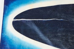 Aura Cetacean