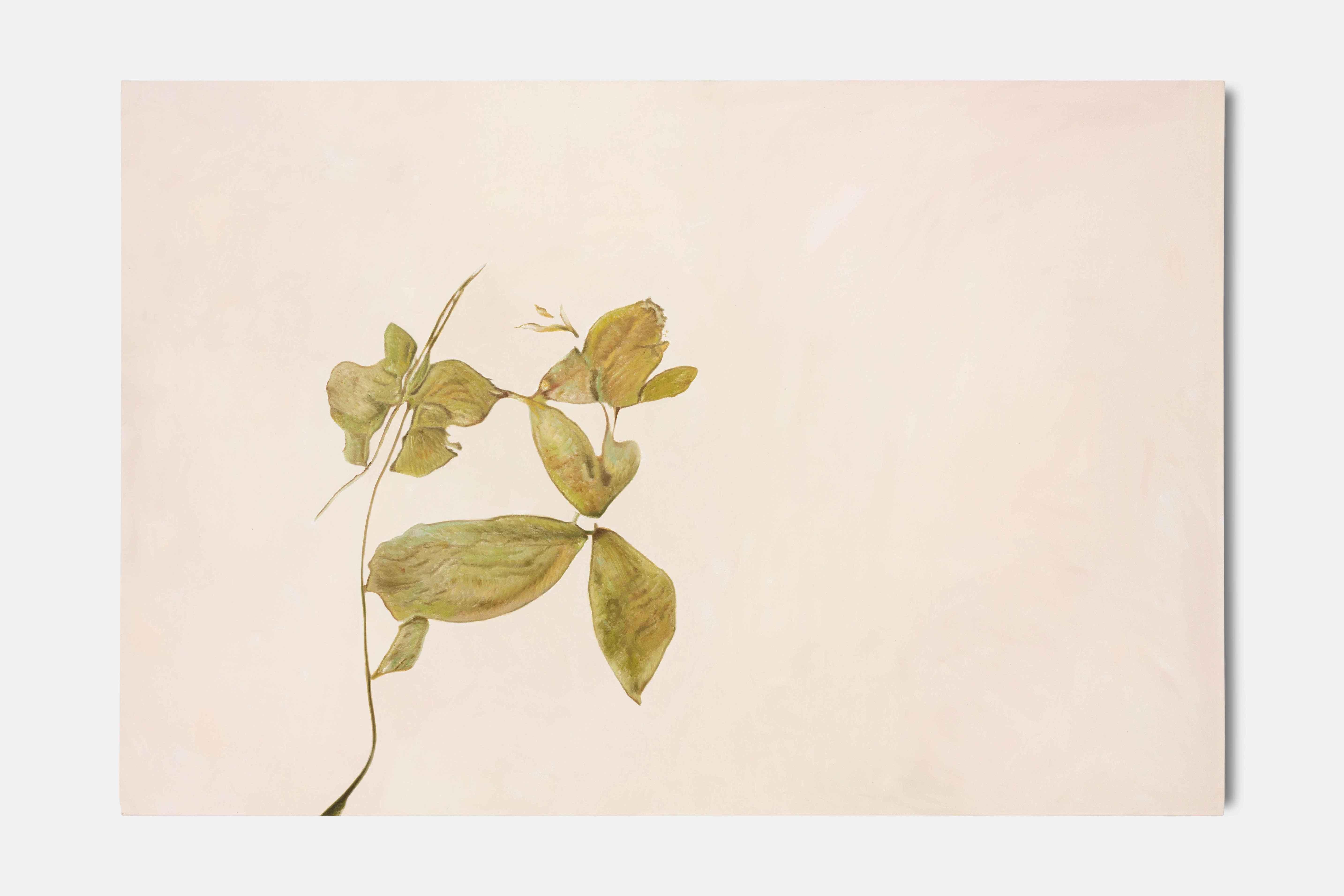 Abstract Painting di aurèce vettier - campioni sconosciuti (media altitudine)