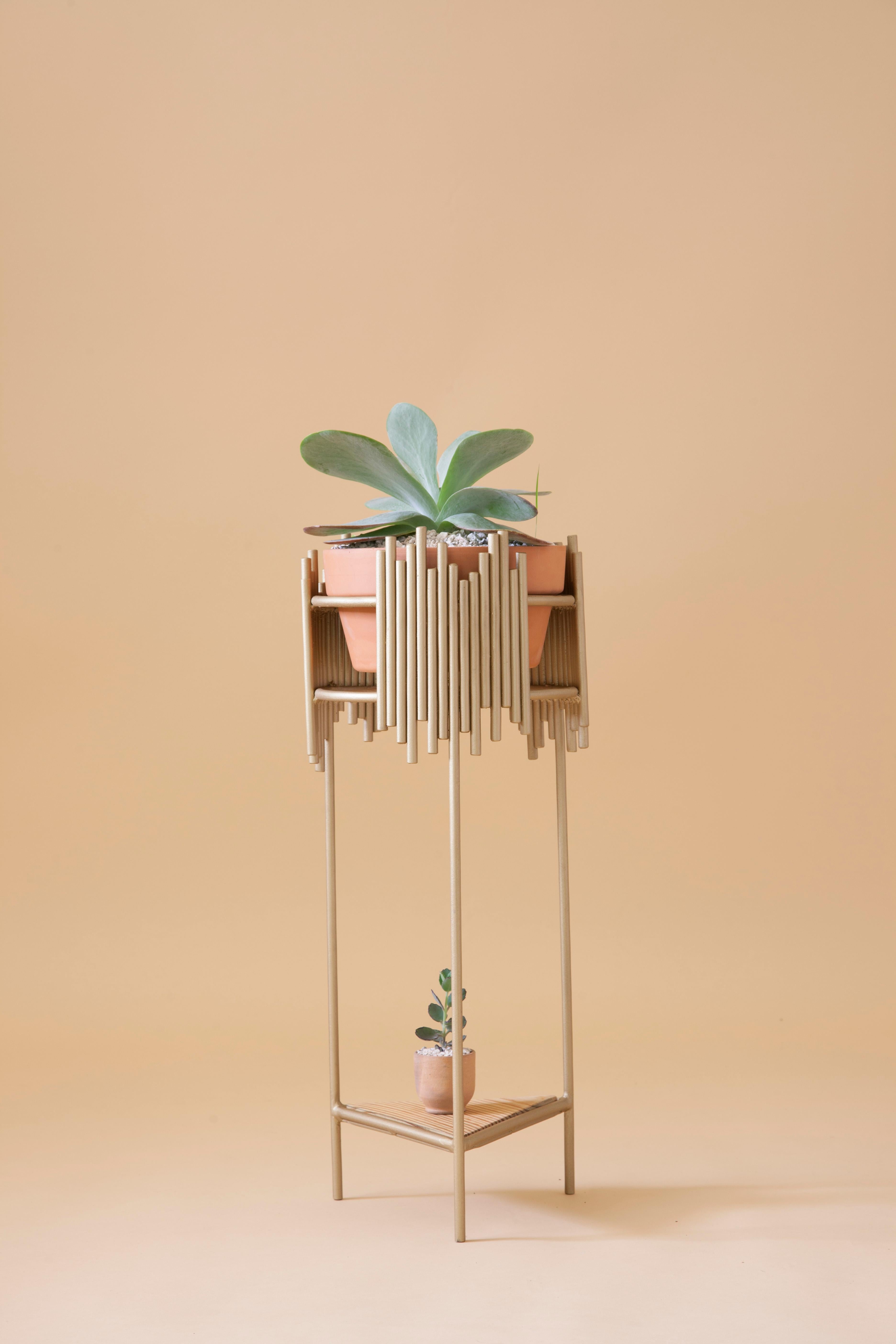 Aurea Plant Stand 1 by Sofia Alvarado
Limited edition 1 of 10 (one in stock)
Materials: Metal & Woods / Golden, white or black.
Dimensions: W 32 x D 32 x H 86 cm

FI is an ornamental artist who embodies the creative Revelation of the sensitivity of