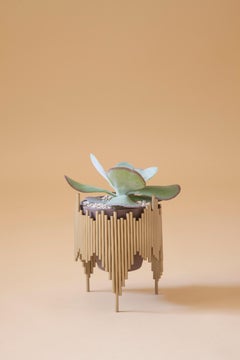 Aurea Plant Stand 2 by Sofia Alvarado