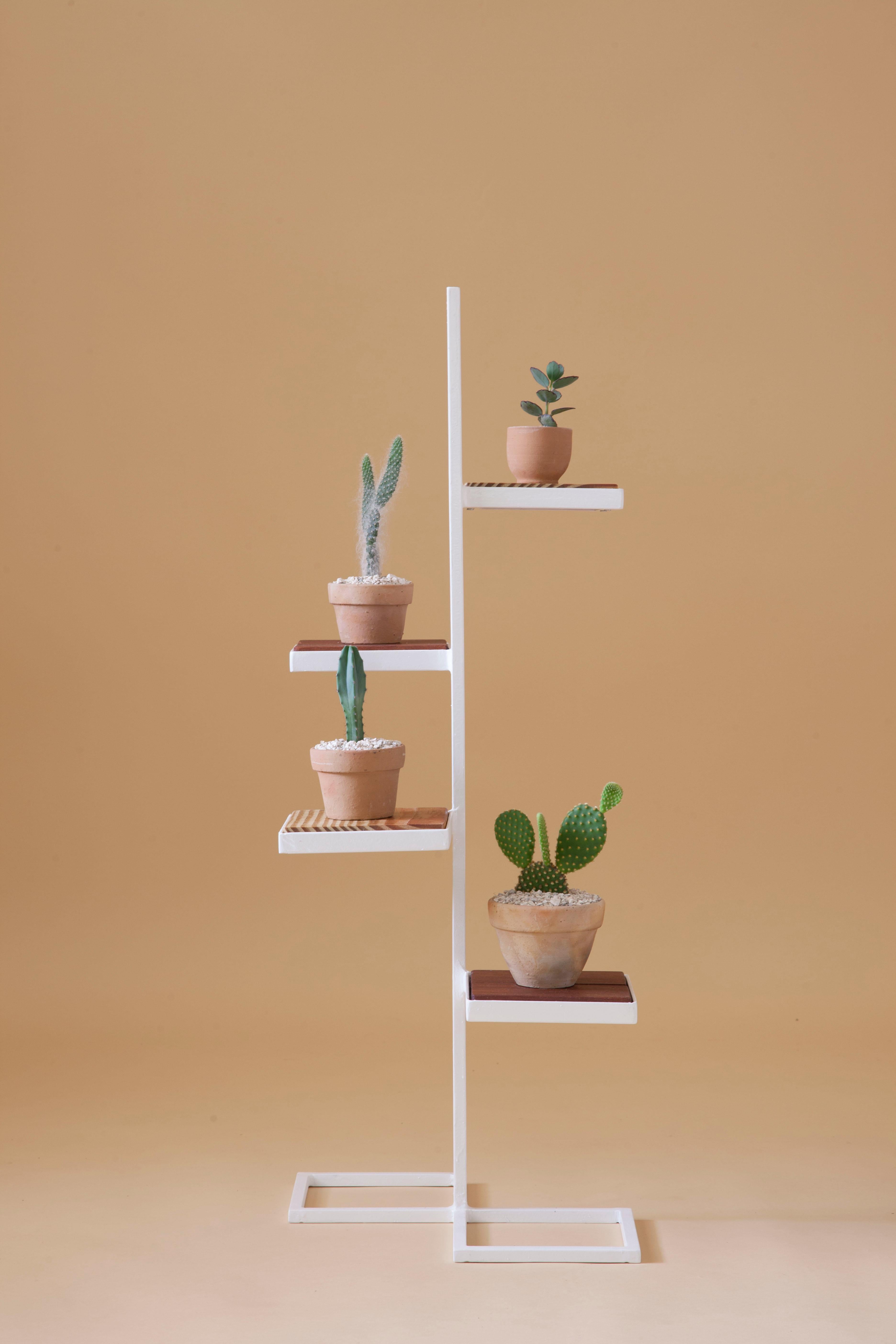 Aurea plant stand 3 by Sofia Alvarado
Limited edition 1 of 10 (one in stock)
Materials: Metal & woods / golden, white or black.
Dimensions: 86cm (H) x 32cm (W) x 32cm (D)

FI is an ornamental artist who embodies the creative revelation of the