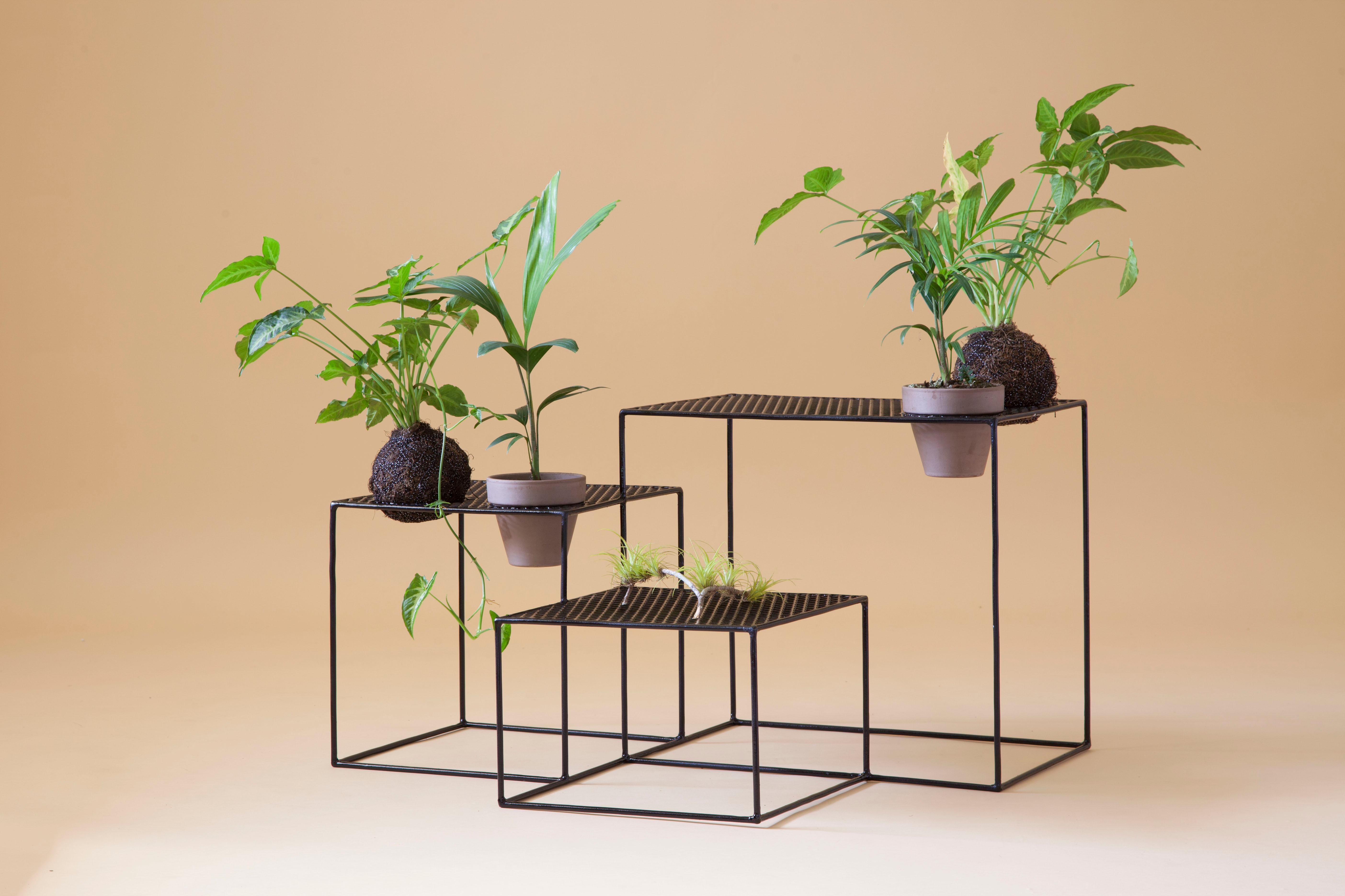 Aurea plant stand 4 by Sofia Alvarado
Limited edition 1 of 10
Materials: metal & woods / golden, white or black.
Dimensions: 40cm (H) x 75cm (W) x 60cm (D)

FI is an ornamental artist who embodies the creative Revelation of the sensitivity of