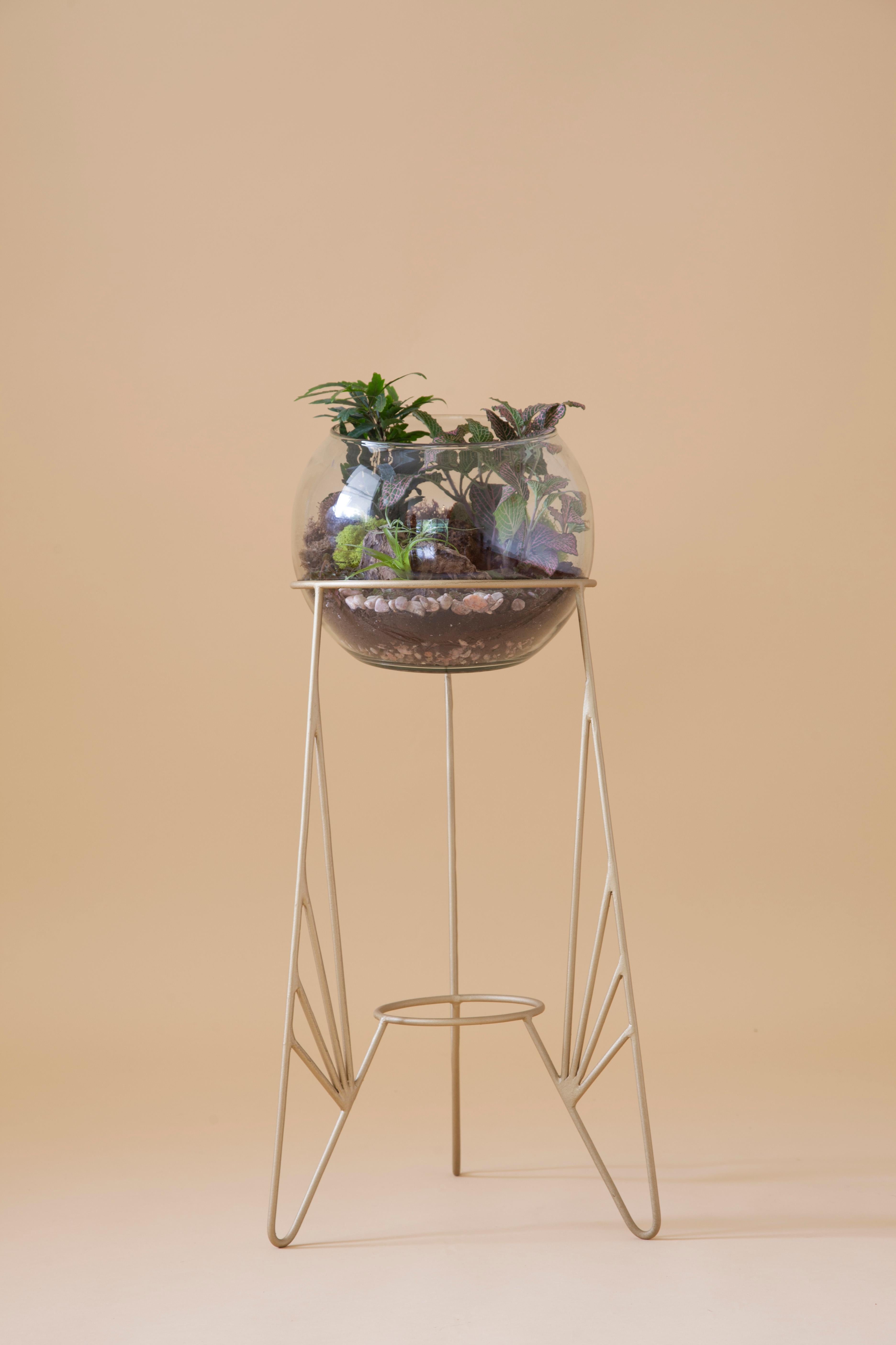 Aurea plant stand 5 by Sofia Alvarado
Limited edition 1 of 10 (one in stock)
Materials: Metal and woods or golden, white or black. 
 include glass ball jar
Dimensions: H 70 x W 30 cm

FI is an ornamental artist who embodies the creative