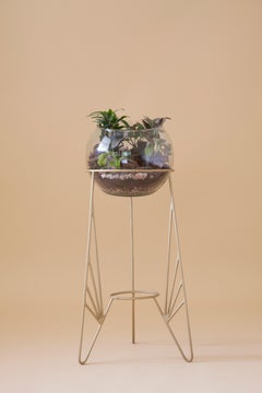 Jardinera Aurea 5 by Sofia Alvarado