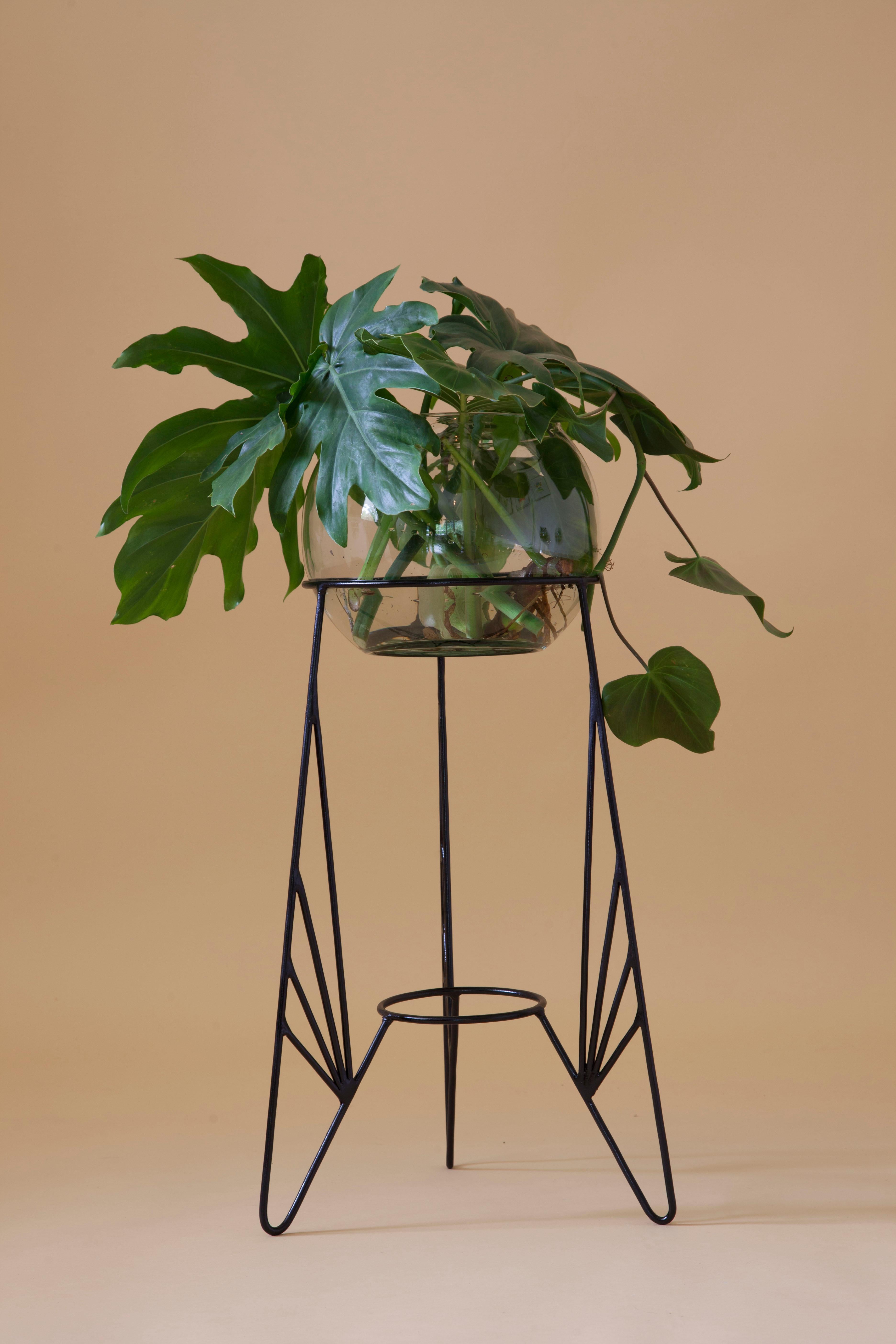 Aurea plant stand 5 by Sofia Alvarado
Limited edition 1 of 10 (one in stock)
Materials: metal & woods / golden, white or black. 
 include glass ball jar
Dimensions: H 70 x W 30 cm

FI is an ornamental artist who embodies the creative