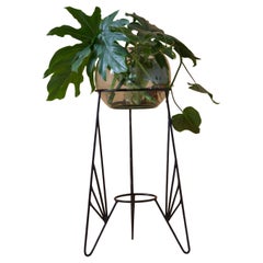 Aurea Plant Stand 5 by Sofia Alvarado