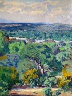 Landscape of Madrid (El Pardo)