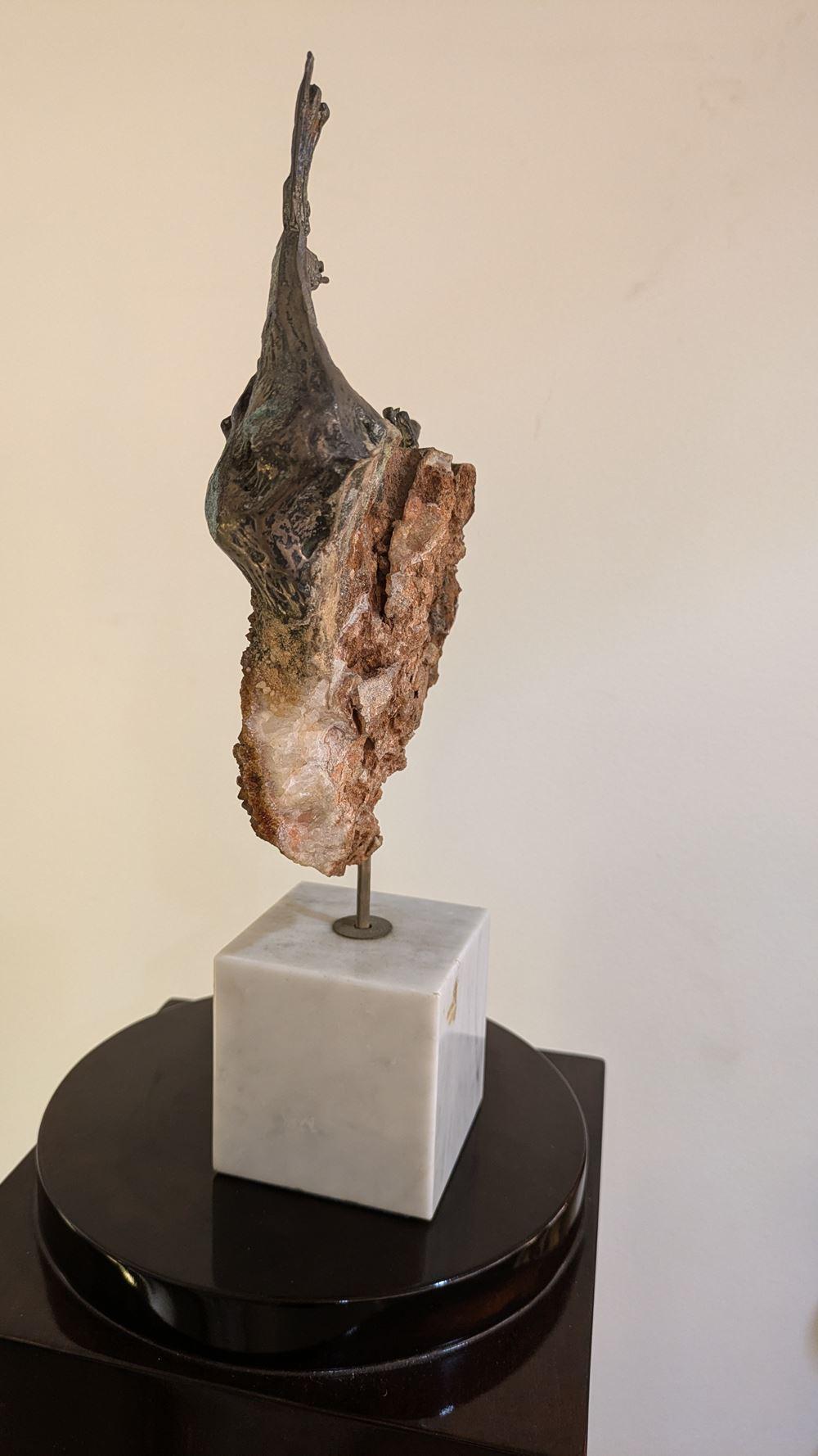 Aurelio Teno (1927/2013) Fischförmige Skulptur, Naturstein und Bronze im Angebot 4