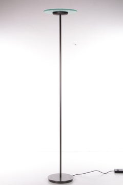 Aureola Halo Floor Lamp by Cini & Nils, Italy 1980