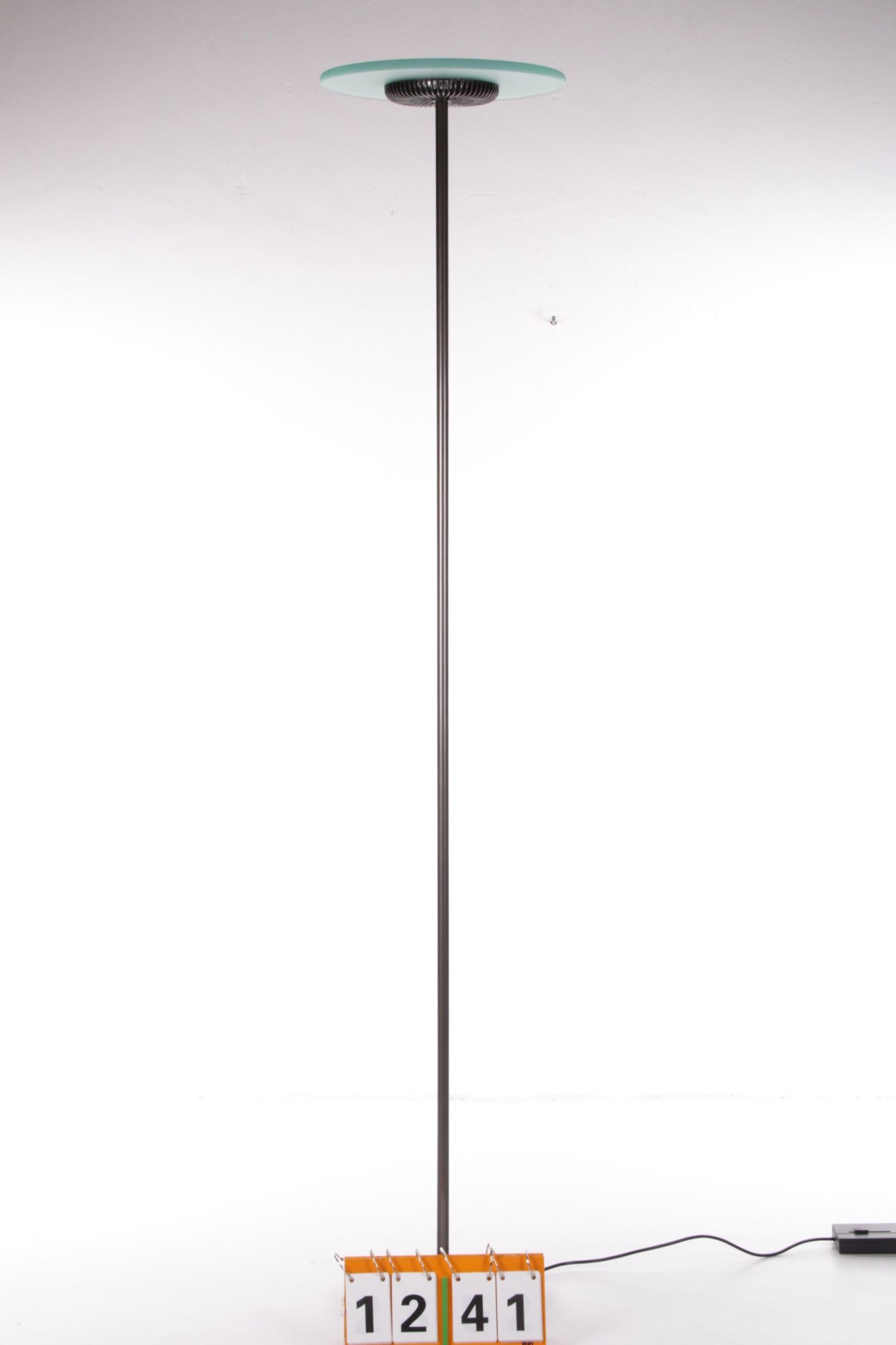 Mid-Century Modern Aureola Halo Floor Lamp by Cini & Nils, Italy 1980