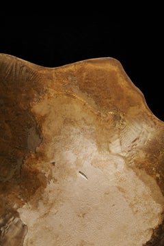 Aurisino Coffee Table in Marble, Resin and Burnished Bronze, Made in Italy