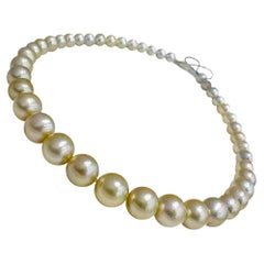 Aurora 9-10mm South Sea Pearl Ombre Necklace