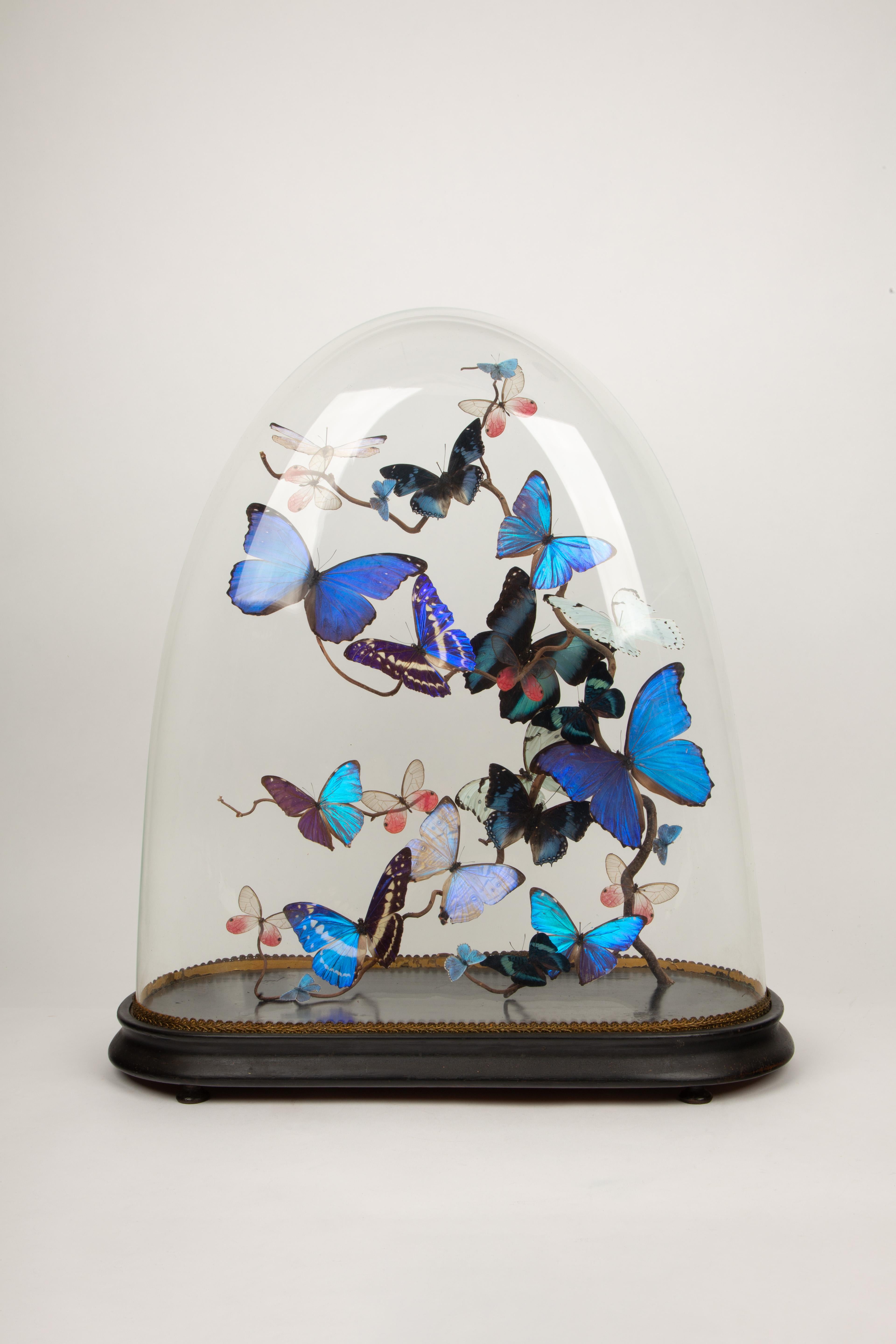 This exquisite antique 19th-century large glass oval globe, titled Aurora by Hasharat, measures 19